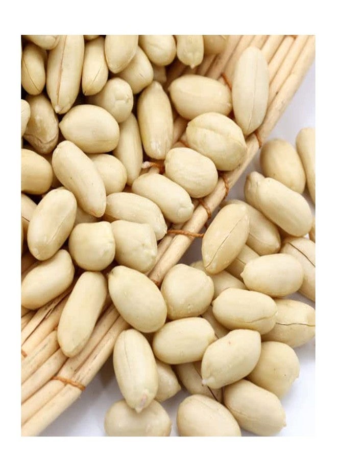 Avenn Khari Sing | Israeli Jumbo Roasted Salted with Husk Peanuts | High Protein - Gluten Free Mungfali | Singdana (Without Skin, 600 GM) - Image 1