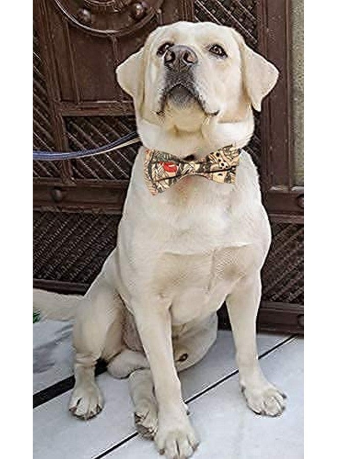 إيميلي بيتس طوق كلاب مع ربطة عنق على شكل فيونكة، طوق سريع الفك مطبوع عليه أزهار ناعم ومريح وقابل للتعديل للكلاب والقطط الصغيرة والمتوسطة والكبيرة (صغير، بني) - Image 5