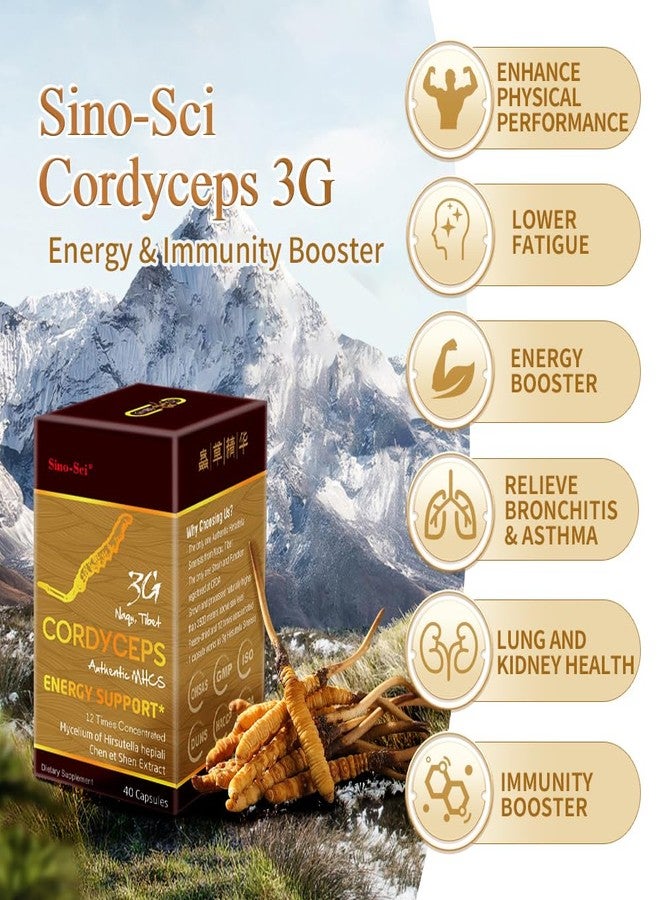 Sino-Sci Cordyceps 3G Capsule, Energy Booster & Immune Support, Pure Cordyceps 12X Extract, 40 Caps (1 Bottle) - Image 3
