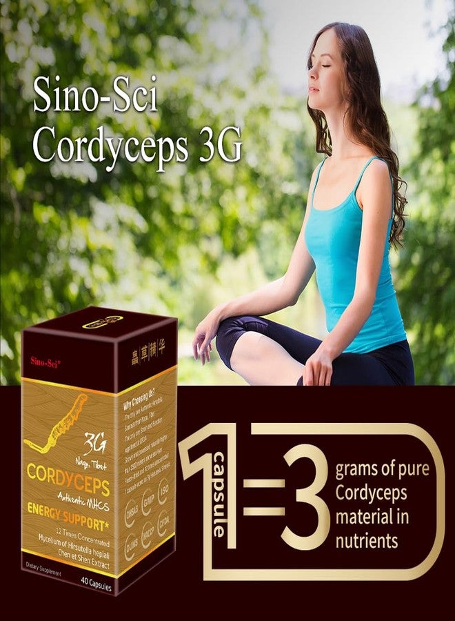 Sino-Sci Cordyceps 3G Capsule, Energy Booster & Immune Support, Pure Cordyceps 12X Extract, 40 Caps (1 Bottle) - Image 4