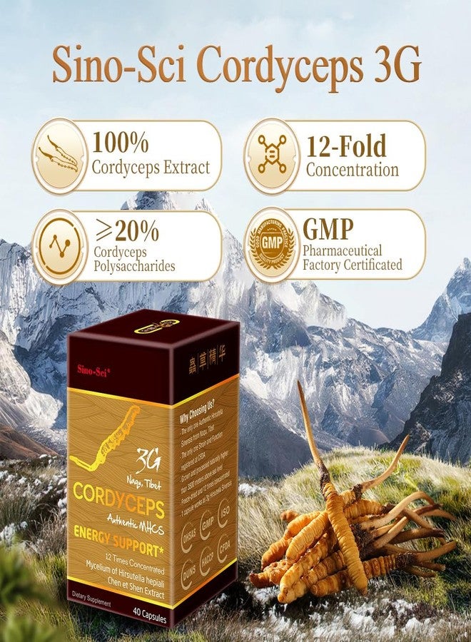 Sino-Sci Cordyceps 3G Capsule, Energy Booster & Immune Support, Pure Cordyceps 12X Extract, 40 Caps (1 Bottle) - Image 2