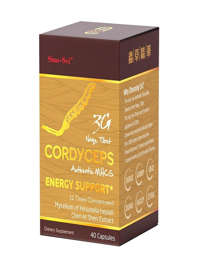 Sino-Sci Cordyceps 3G Capsule, Energy Booster & Immune Support, Pure Cordyceps 12X Extract, 40 Caps (1 Bottle) - Image 1