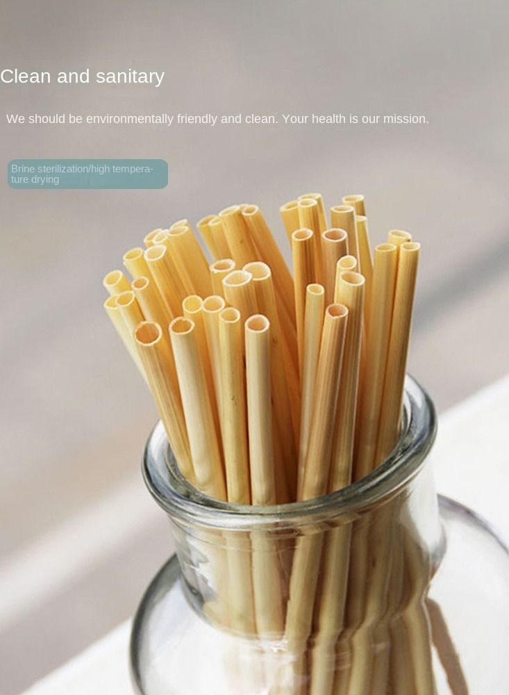 Y&D 100-Piece Plant Wheat Straws Set - Image 3