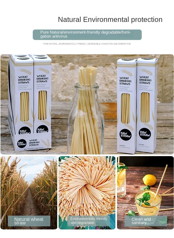 Y&D 100-Piece Plant Wheat Straws Set - Image 5