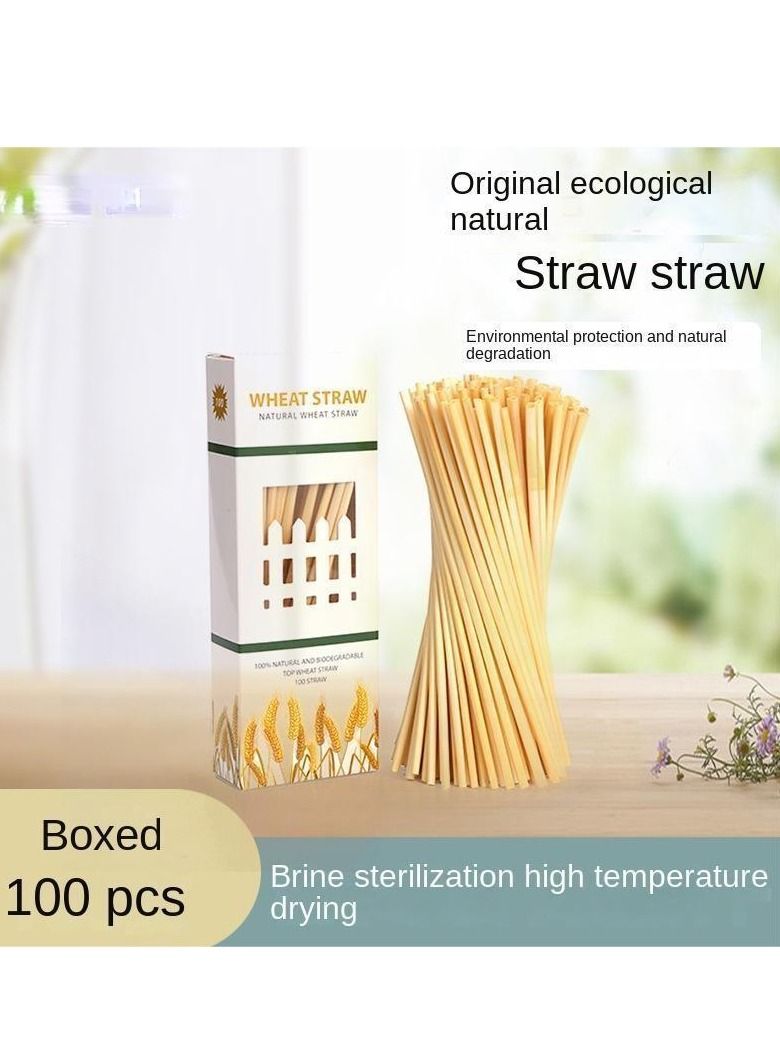 Y&D 100-Piece Plant Wheat Straws Set - Image 1