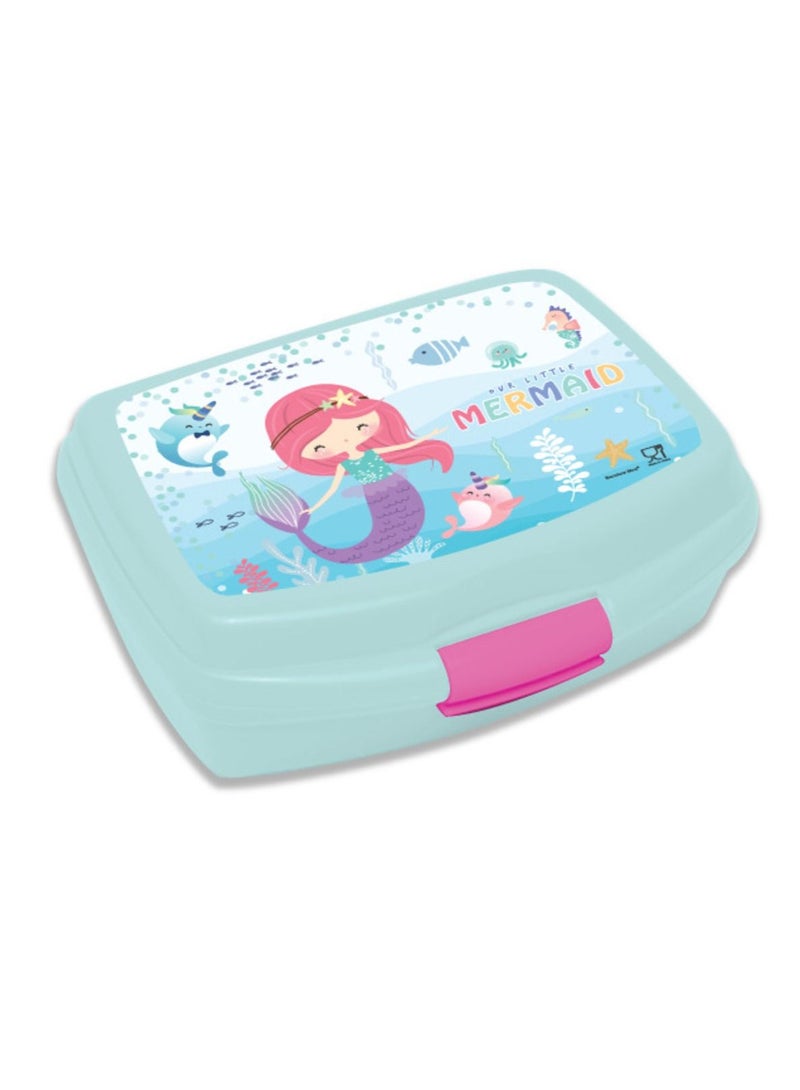 Plastic Printed Lunch Box