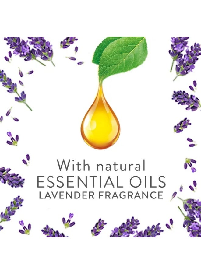 Air Wick Plug-in Scented Oil Fragrance Diffuser with Refill Lavender Scent 19 ml - Image 3