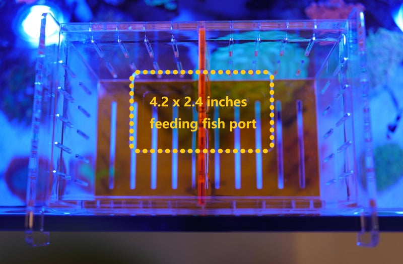ONE BAYJF Acrylic Acclimation Box for Saltwater Fish and Reef Coral Quarantine Isolation Box for Aquarium Fish Hydroponic Plant External Breeding Box - Image 5