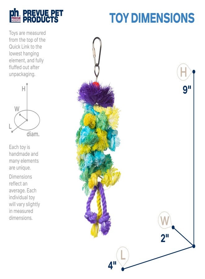 PH Prevue Hendryx Prevue Pet Products Preen & Pacify Calypso Creations Braided Bunch Bird Toy 62669 - Image 2