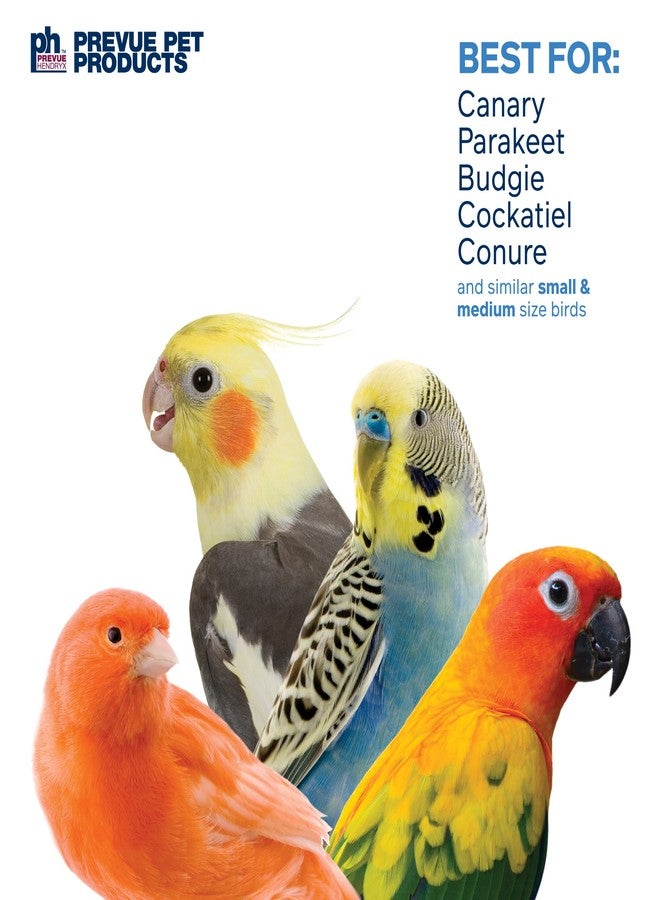 PH Prevue Hendryx Prevue Pet Products Preen & Pacify Calypso Creations Braided Bunch Bird Toy 62669 - Image 4