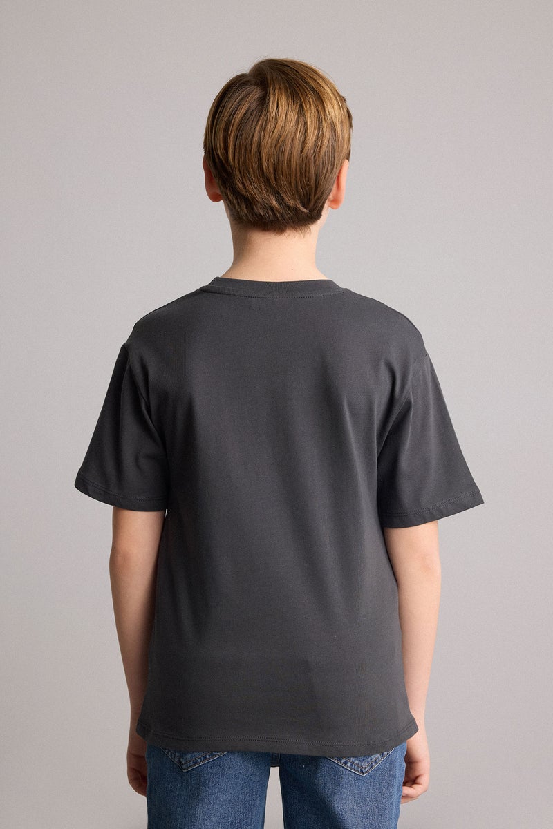 DeFacto Grey Boy Boy New Regular Fit Crew Neck Printed T-Shirt Casual - Image 5