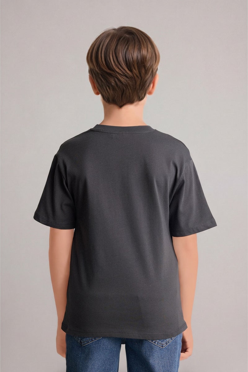 DeFacto Grey Boy Boy New Regular Fit Crew Neck Printed T-Shirt Casual - Image 4