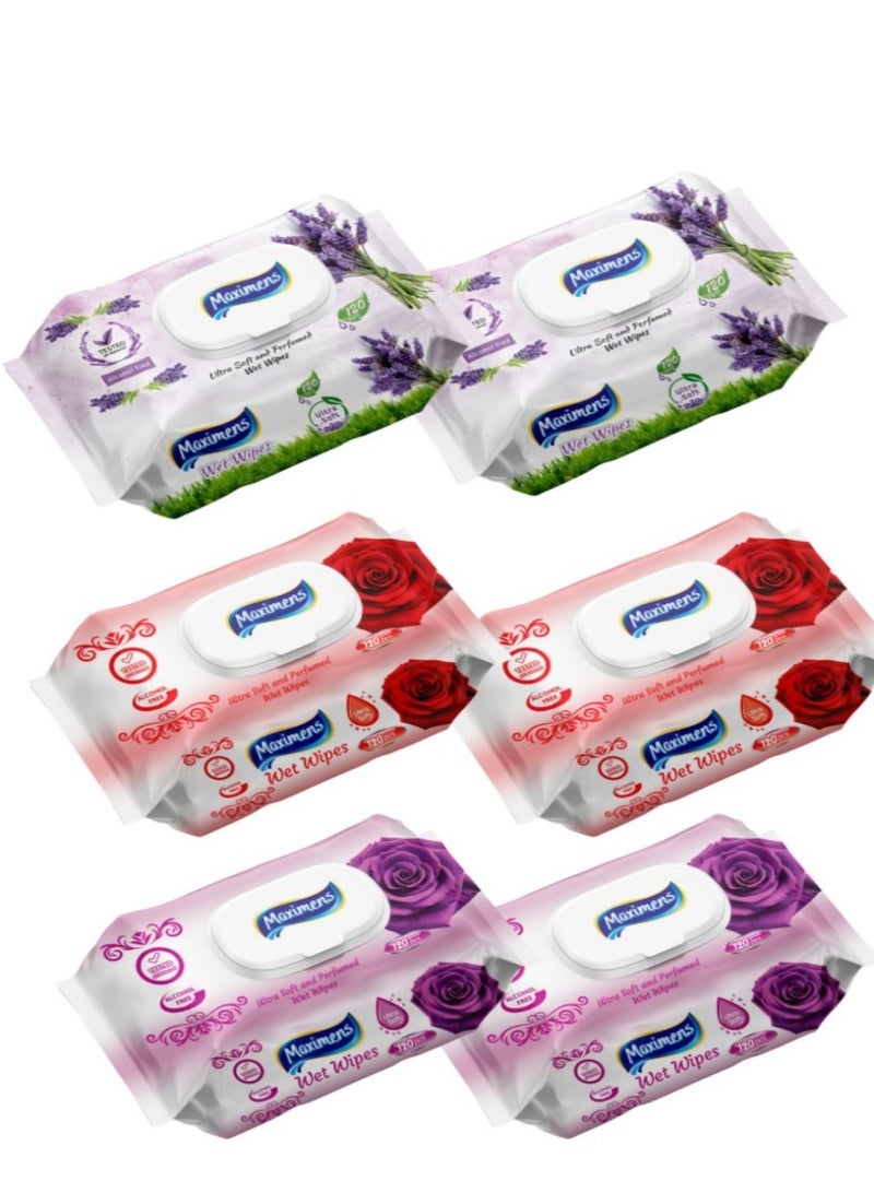 Wet wipes, 120 wipes per pack (6 packs)