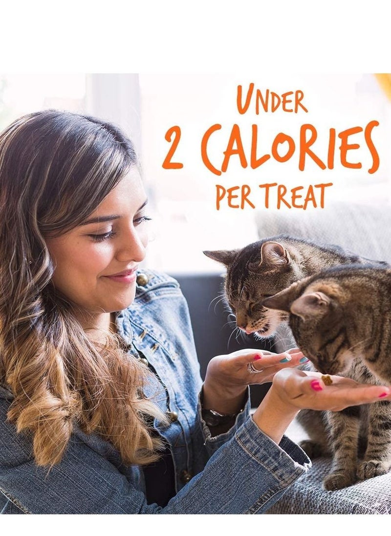 Fruitables - Tuna Flavor with Pumpkin Cat Treats 70g - Image 1