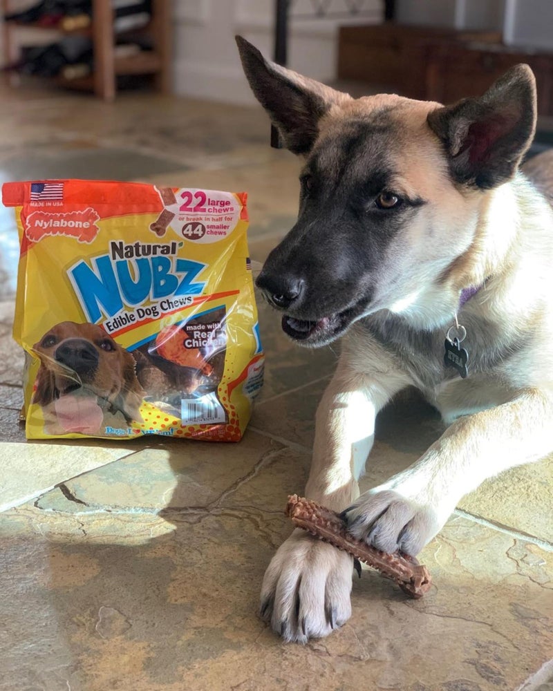 Nylabone Nubz Natural Dog Chew Treats for Large Dogs, Long Lasting Dog Bones Made in USA, Chicken Flavor Breath Freshener Dental Chews, For Dogs Over 30 lbs. (18 Count) - Image 3