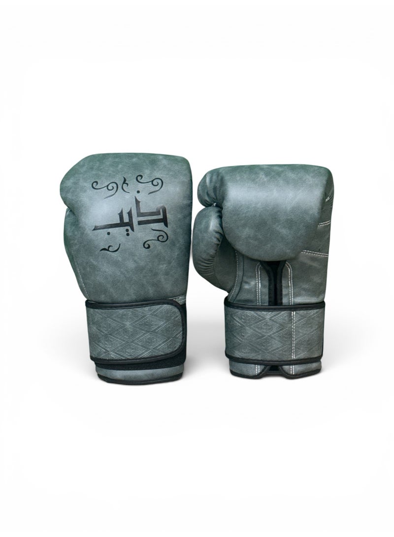 THEEB - Arabica Microfiber Boxing Gloves - Image 1