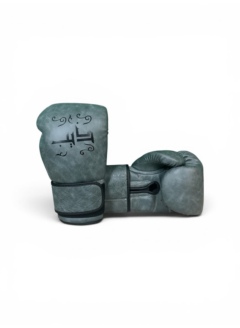 THEEB - Arabica Microfiber Boxing Gloves - Image 2