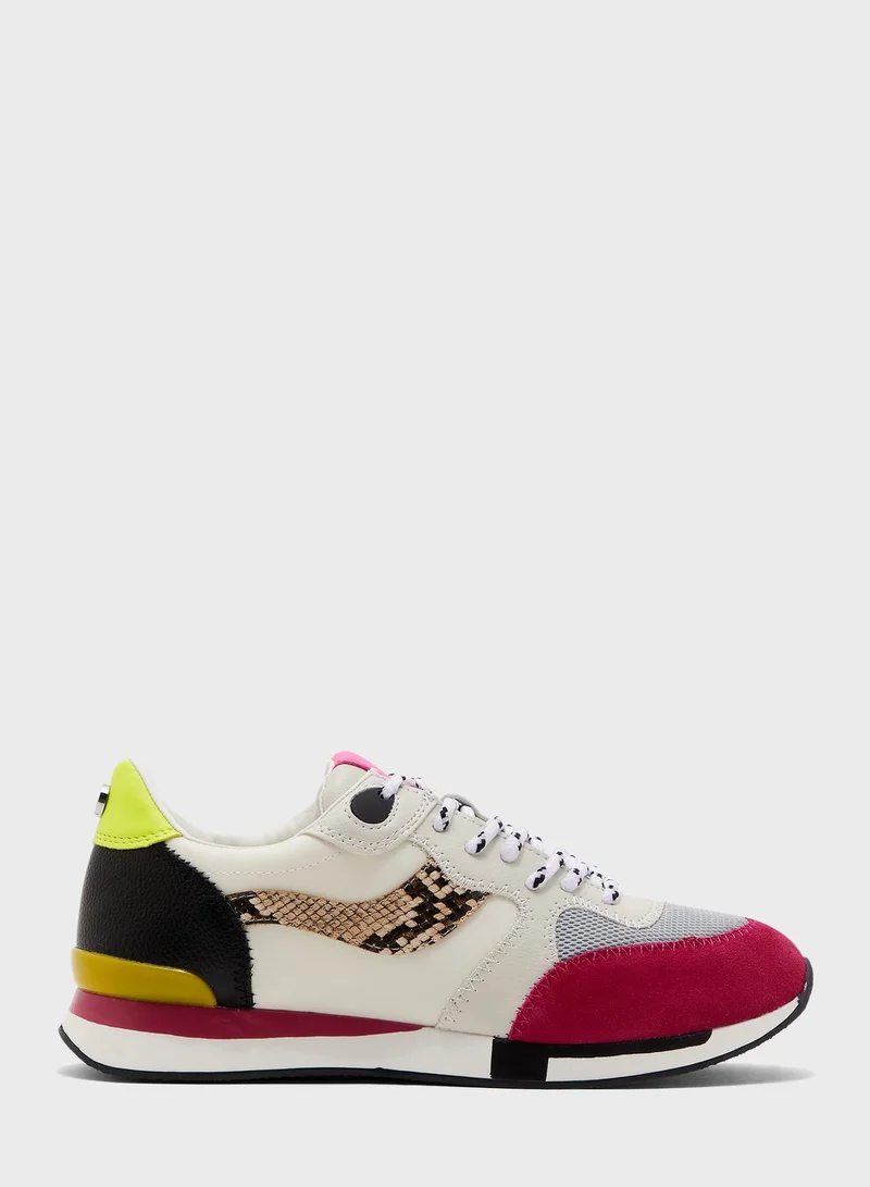 STEVE MADDEN CORA low top sneaker