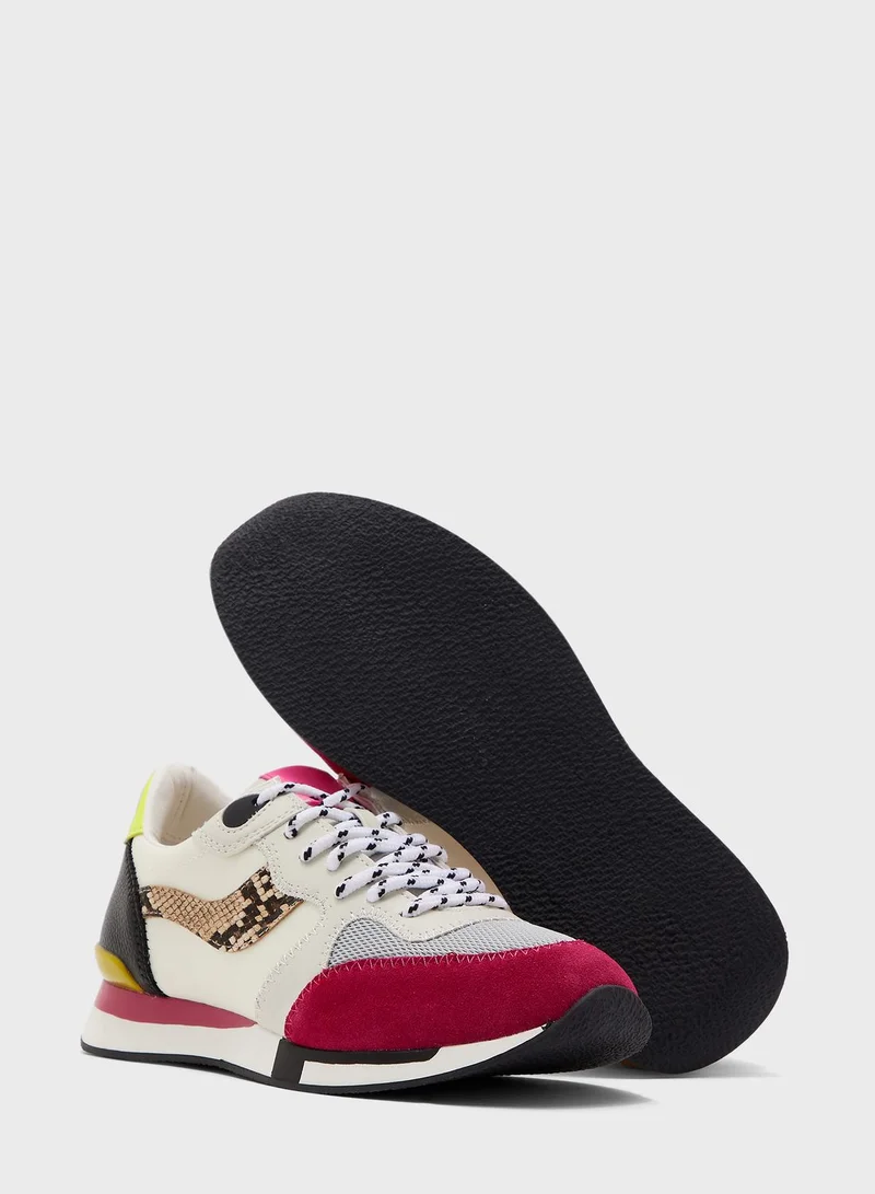 STEVE MADDEN CORA low top sneaker