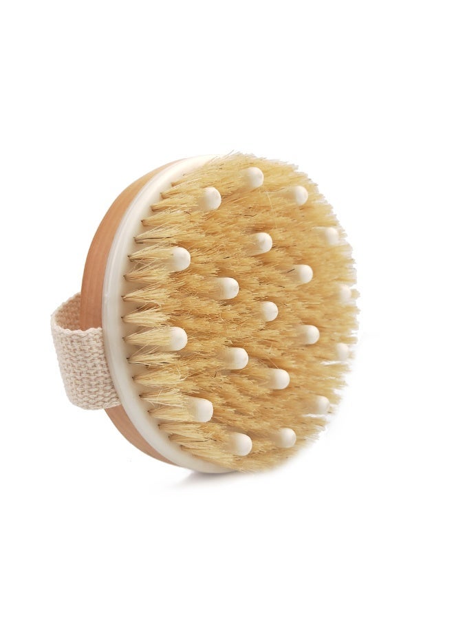 Galaxy Goods Dry Brush for Body – Dual-Use Exfoliating & Massage Brush with Natural Bristles and Soft Nodules for Cellulite Reduction, Lymphatic Drainage & Glowing Skin - Image 1
