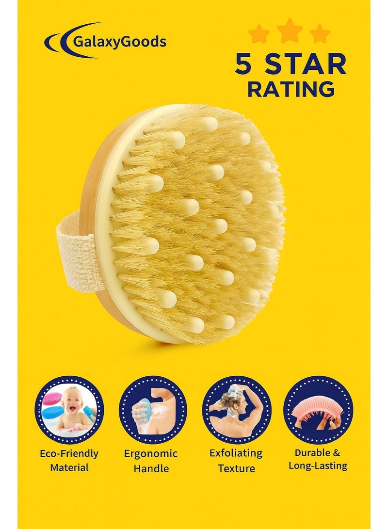 Galaxy Goods Dry Brush for Body – Dual-Use Exfoliating & Massage Brush with Natural Bristles and Soft Nodules for Cellulite Reduction, Lymphatic Drainage & Glowing Skin - Image 3