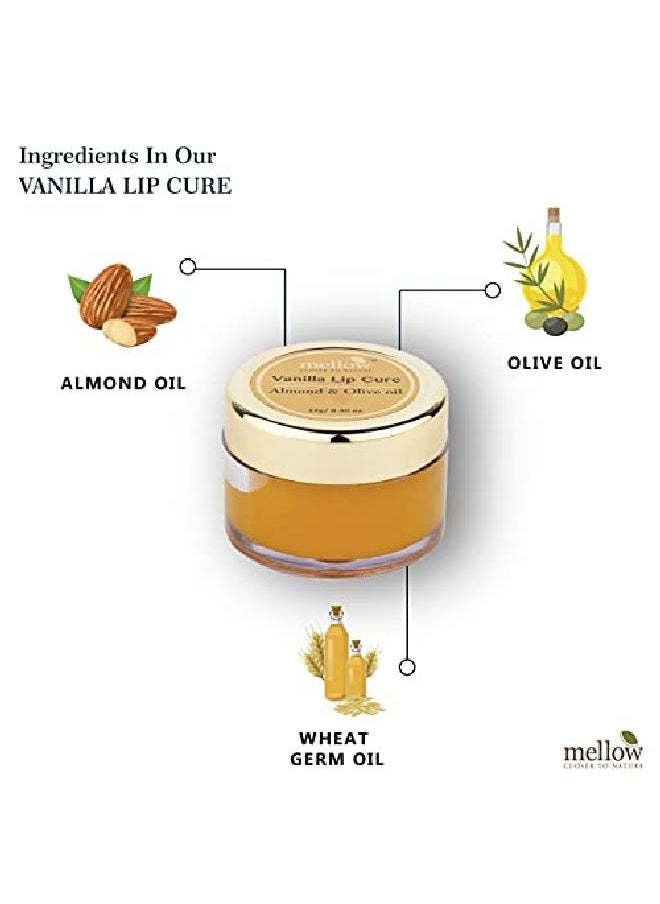 MELLOW Herbals Ayurvedic Vanilla Lip Cure (12Gm) for Dry & Chapped Lips | Soft & Moisturised Lips with Almond Wheat Germ & Olive Oil | Ayush Certified | GMO Paraben and Silicone Free  - Image 3