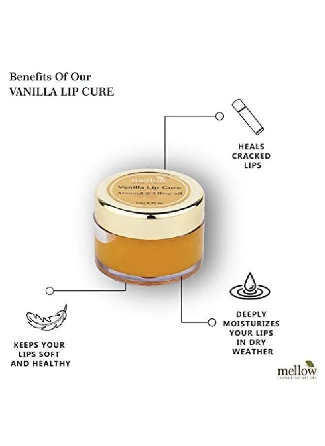 MELLOW Herbals Ayurvedic Vanilla Lip Cure (12Gm) for Dry & Chapped Lips | Soft & Moisturised Lips with Almond Wheat Germ & Olive Oil | Ayush Certified | GMO Paraben and Silicone Free  - Image 4