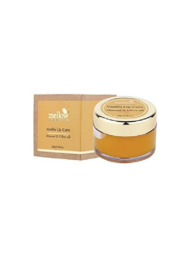 MELLOW Herbals Ayurvedic Vanilla Lip Cure (12Gm) for Dry & Chapped Lips | Soft & Moisturised Lips with Almond Wheat Germ & Olive Oil | Ayush Certified | GMO Paraben and Silicone Free  - Image 2
