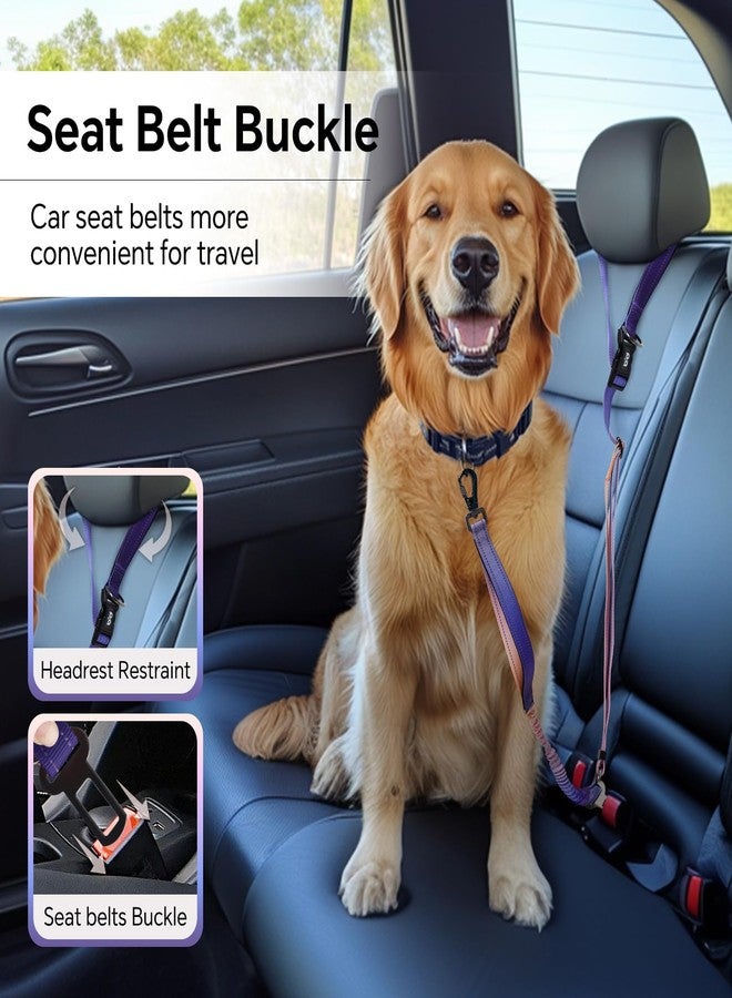 كيوكيو بيتس طوق كلاب QQPETS بدون استخدام اليدين، طوق خصر قابل للتعديل للمشي مع الكلاب، طوق جري متعدد الاستخدامات للكلاب مع مشبك حزام أمان السيارة للكلاب المتوسطة والكبيرة - Image 5