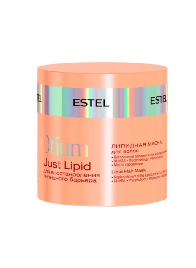 ESTEL Otium Just Lipid hair mask 300ml - Image 1