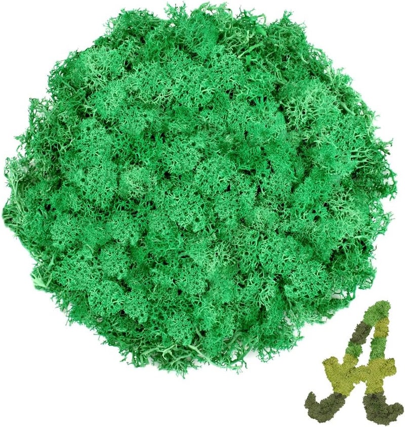 TCYPUHL Preserved 3.5 OZ Emerald Green Reindeer Moss for Potted Plants,Craft Decor for Wall Art,Fake Moss for DIY Decorative(3.5 OZ, Emerald Green) - Image 1