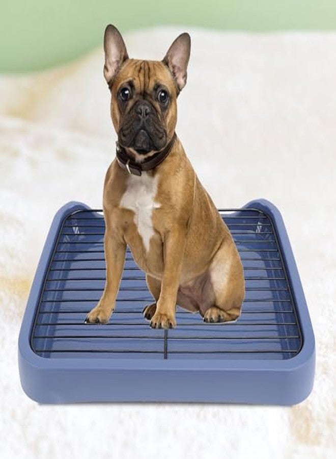 Fockety Dog Potty Tray, 18x14in Pet Indoor Dog Training Toilet with Grille, Removable Mesh, Puppy Potty Tray Pee Pad Holder for Small Medium Pets - Image 4