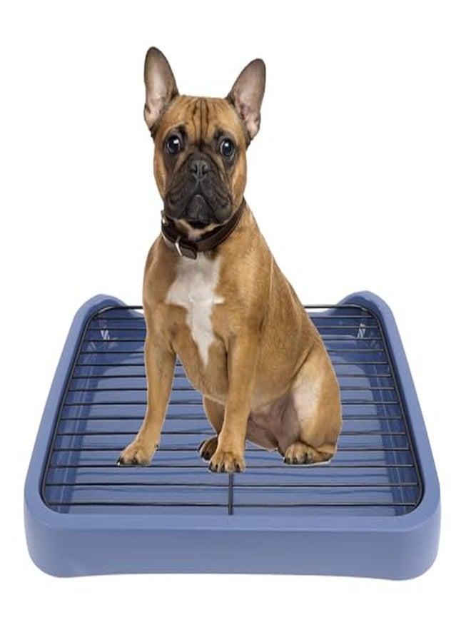 Fockety Dog Potty Tray, 18x14in Pet Indoor Dog Training Toilet with Grille, Removable Mesh, Puppy Potty Tray Pee Pad Holder for Small Medium Pets - Image 1