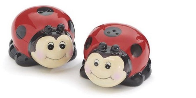 SALTPEPPER LADYBUG WHIMSICAL
