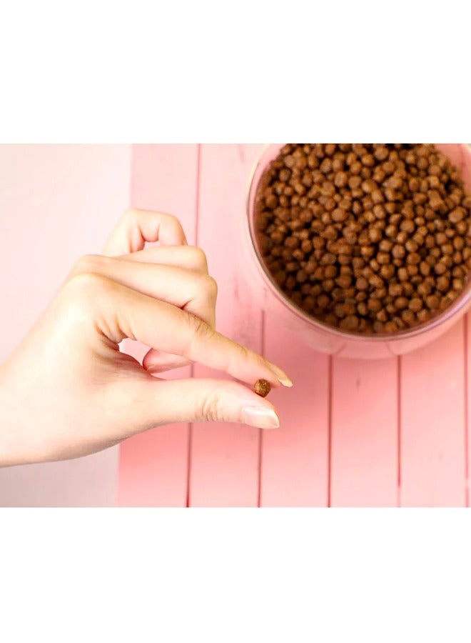 Kit Cat No Grain Kitten Food - 1KG - Image 2