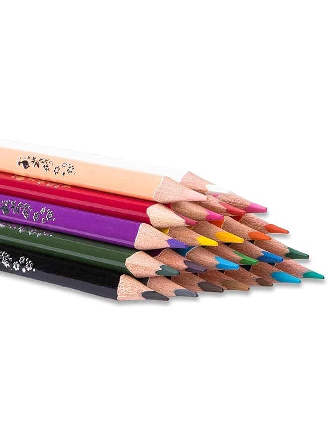 Deli Ec00320 Colored Pencil Good Quality Lead For Smooth Coloring Ec00320 - Image 4