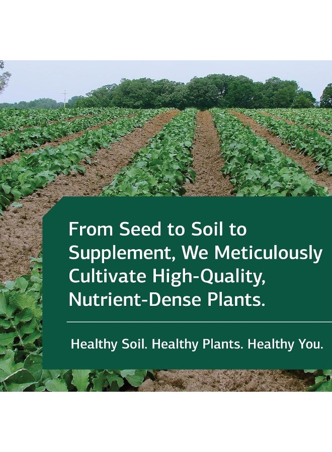 Standard Process SP Cleanse - Healthy Kidney & Liver Support Supplement - Formula Aids Gallbladder Function - Digestive Support Supplement with Apple Pectin, Barley, Beetroot & More - 150 Capsules - Image 5