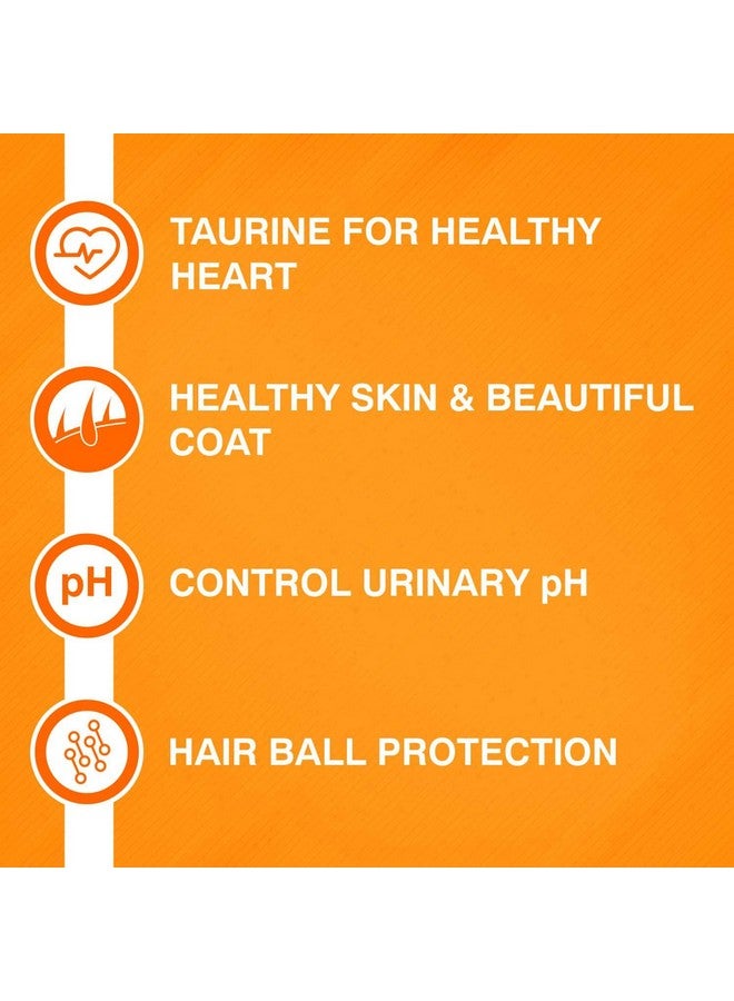 PUREPET طعام قطط بالغ جاف بنكهة الماكريل من بيوربيت، عبوة 1 كجم - Image 3