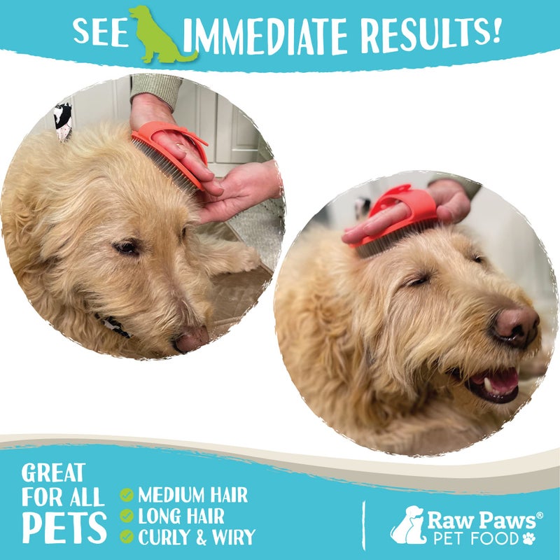 Raw Paws Grooming Brush, 1 ct - Hand-Held Rubber Tipped Pin Brush for Dogs & Cats - Deshedding Dogs with Short Hair & Long Hair - Dog Grooming - Image 4