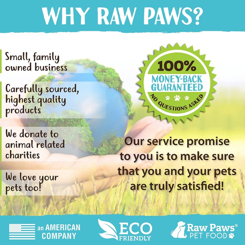 Raw Paws Grooming Brush, 1 ct - Hand-Held Rubber Tipped Pin Brush for Dogs & Cats - Deshedding Dogs with Short Hair & Long Hair - Dog Grooming - Image 5