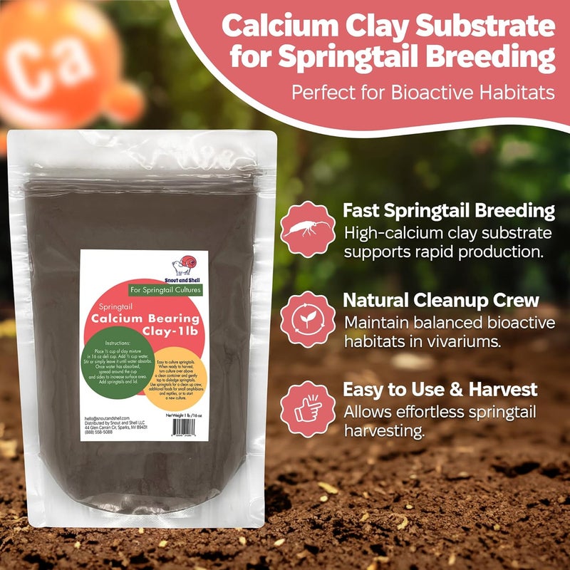 Snout and Shell Springtail Calcium Bearing Clay - 1 lb | Ideal for Culturing Springtails, Reptile and Amphibian Terrariums, and Natural Habitat Cleanup Crew - Image 2