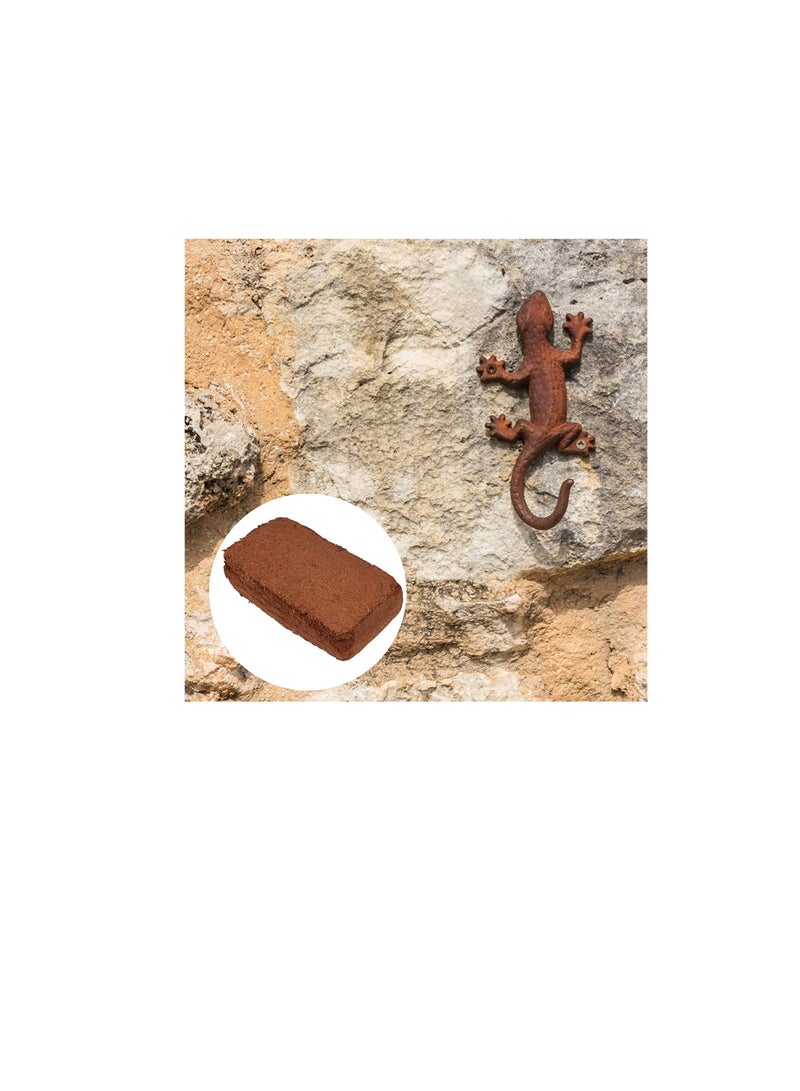 Bestomz 2pcs Coconut Bricks Compressed Coco Peat Brick for Seed Starting Mix Reptiles Garden - Image 2