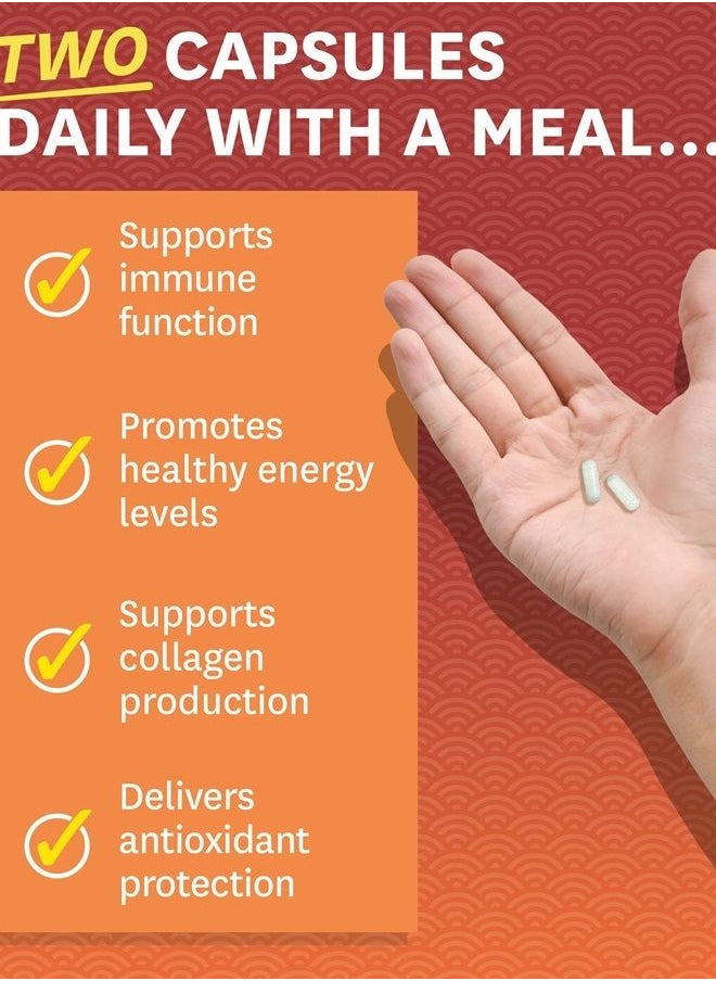 Zenwise Health - Zenwise Vitamin C Liposomal Ascorbic Acid – 1000 MG of Organic Highly Bio Available Vitamin C for Immune Health, Natural Energy Boost, and Skin Care Support - 3 Month Supply - 180 Capsules - Image 1