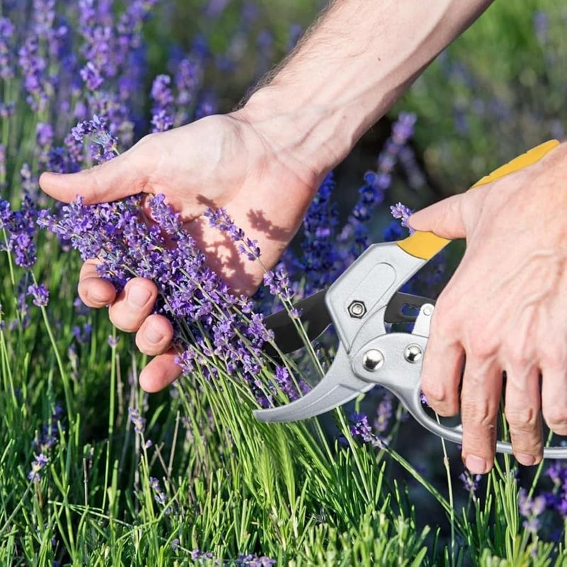 Aputue Pruning Shears for Gardening, Professional Bypass Garden Pruners with Safety Lock, Sharp Precision Blades for Plants, Flowers, Branches and Outdoor Gardening Tools with Ergonomic Handles - Image 4