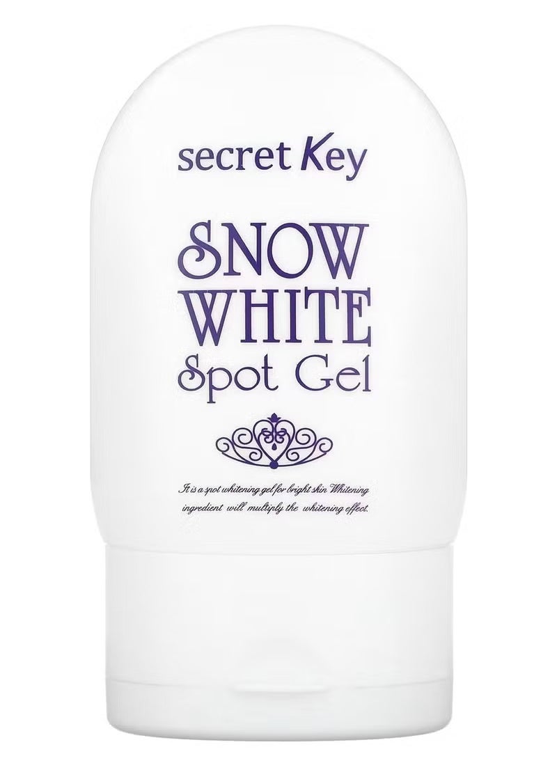 Secret Key Snow White Spot Gel 65ml 