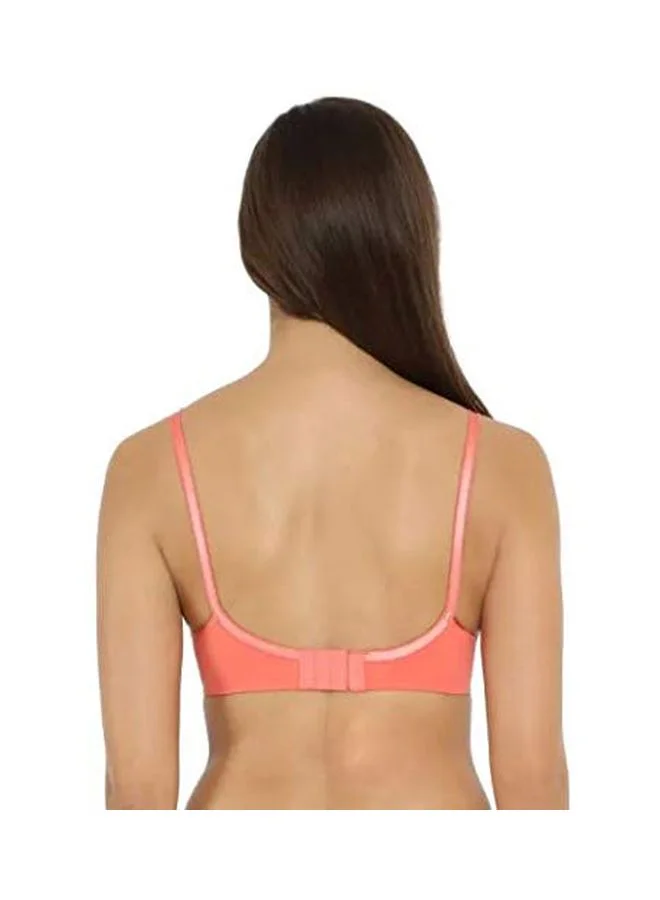 JOCKEY Jockey 1242 Women Wire free Non Padded Super Combed Cotton Elastane Stretch Medium Coverage Cross Over Everyday Bra with Adjustable Straps