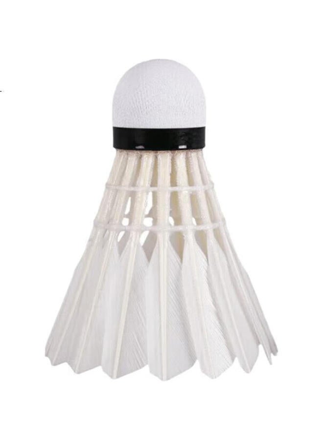 Rsl Badminton Shuttlecocks, Training And Competition Grade, Stable And Durable, Rsl 7 Speed, 76Mph, Duck Feather, 12 Pieces Per Tube - Image 1