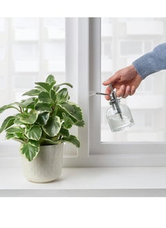 Happy Home Glass sprayer designed to spray a mist of water onto plant leaves - Transparent  - Image 3