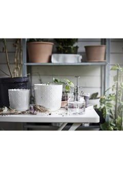 Happy Home Glass sprayer designed to spray a mist of water onto plant leaves - Transparent  - Image 5