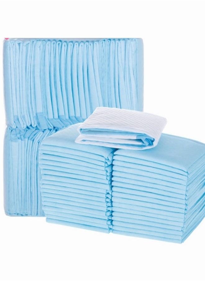 HQ-GAMING - 100PCS  Pet Training Pad S Dog Pee Training Pad Cat Pee Pad Pet Wee Pee  Diape - Image 1